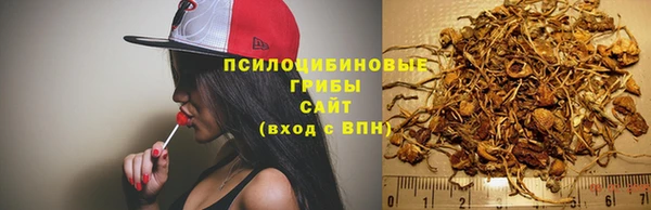 MESCALINE Горно-Алтайск