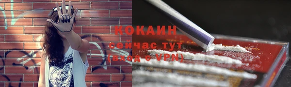 ALPHA PVP Горнозаводск