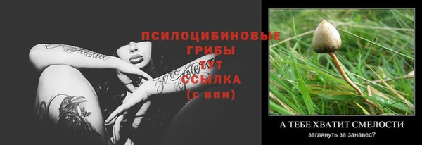MESCALINE Горно-Алтайск
